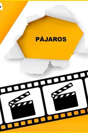 Pájaros