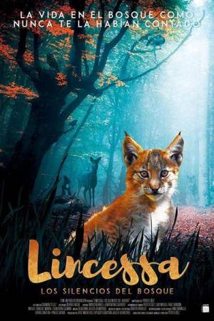 Lincessa. Los silencios del bosque