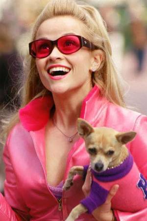 Legally Blonde 3