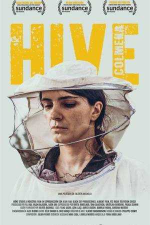 Hive (Colmena)