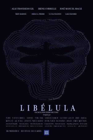 Libélula